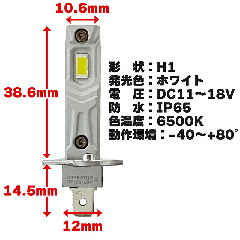 H1LEDバルブフォグランプ6500Kホワイト12V